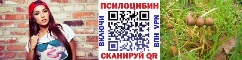 Псилоцибиновые грибы Magic Shrooms  Купить закладки  Жиздра 